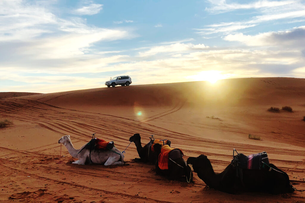 Best Desert Safari In Dubai